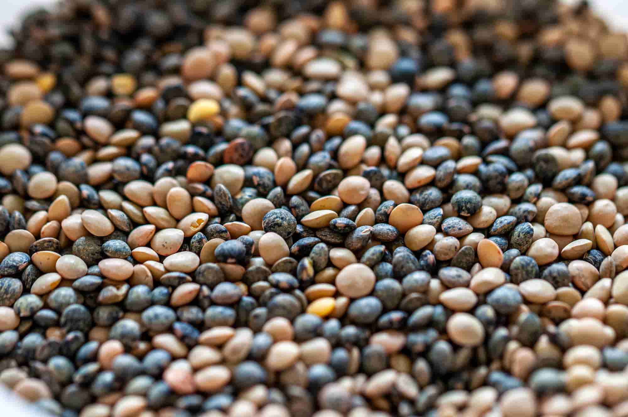 And what if you started growing lentils?