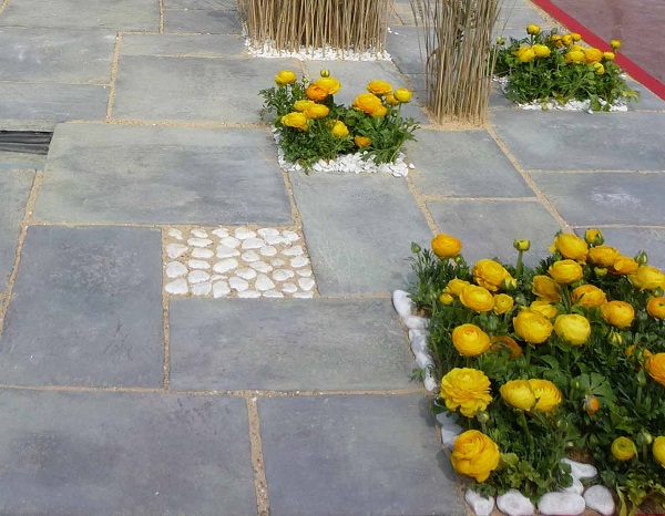 How to clean the joints between paving stones on a terrace or pathway?