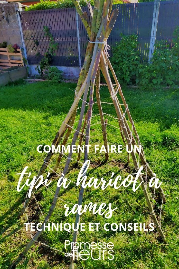 Our Tutorial: Runner Bean Teepee