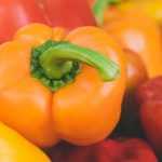 Peppers and Chillis: Sowing, Cultivation and Harvest