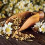 How to dry chamomile flowers?