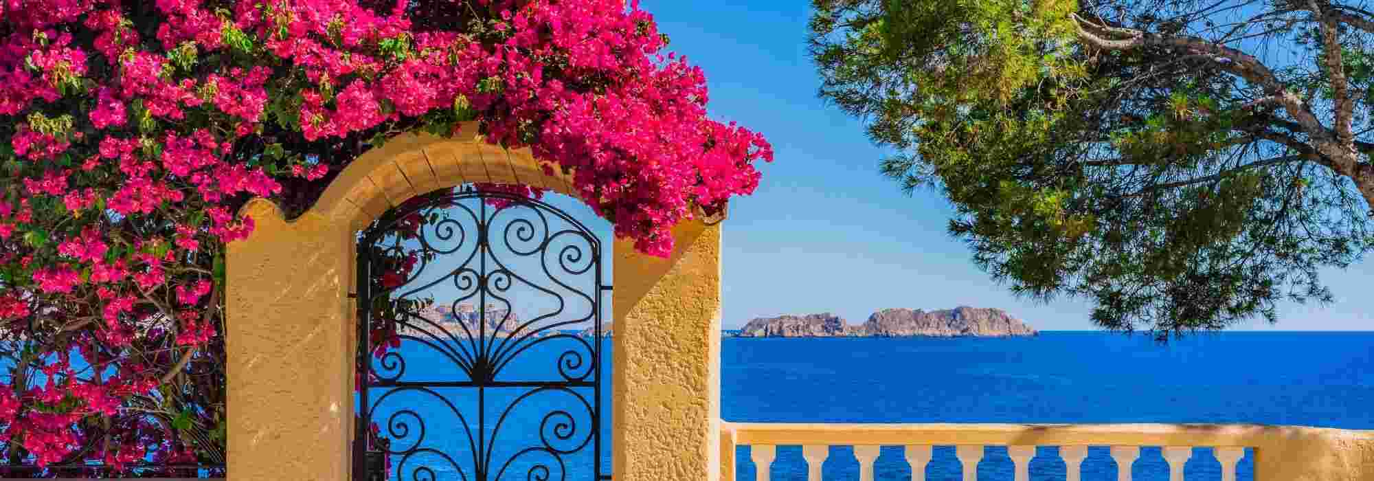 6 climbing plants for coastal areas