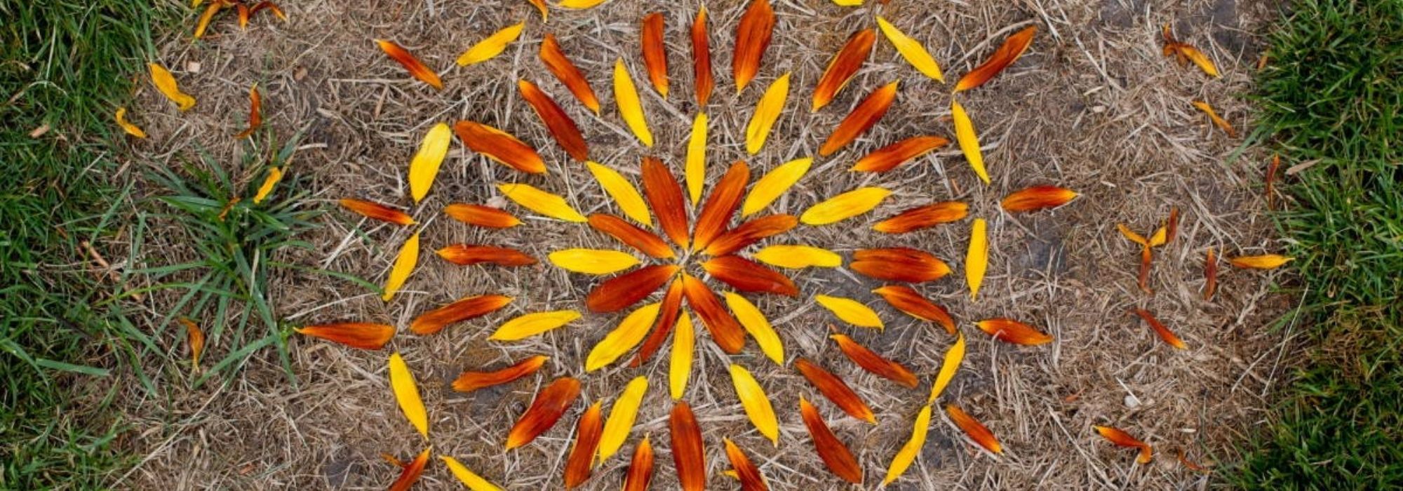 Land Art, what is it?