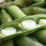 How to improve your vegetable garden's soil with legumes?