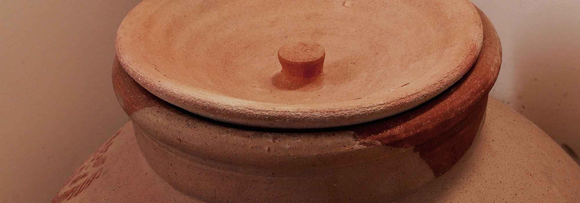 Ollas or oyas: an efficient and economical watering system