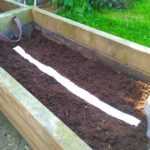 How to make a seed tape?