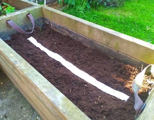 How to make a seed tape?