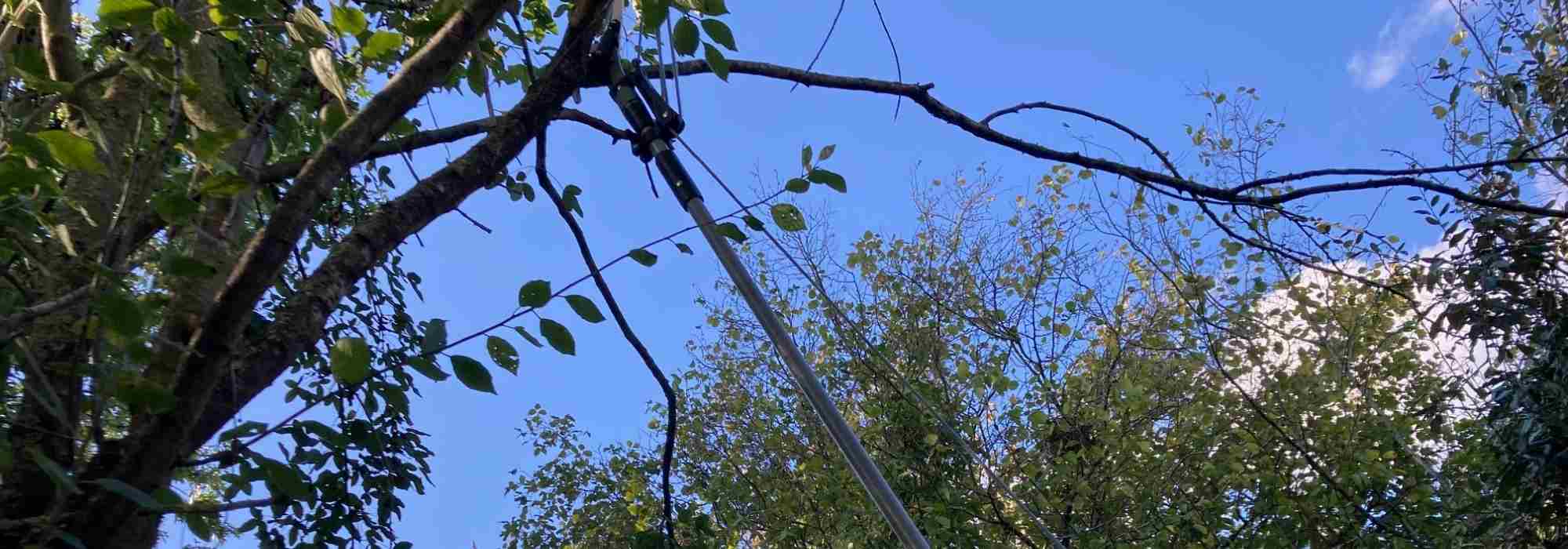 What is the purpose of a pole pruner?