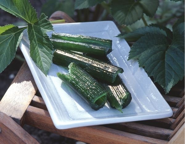 Making candied angelica