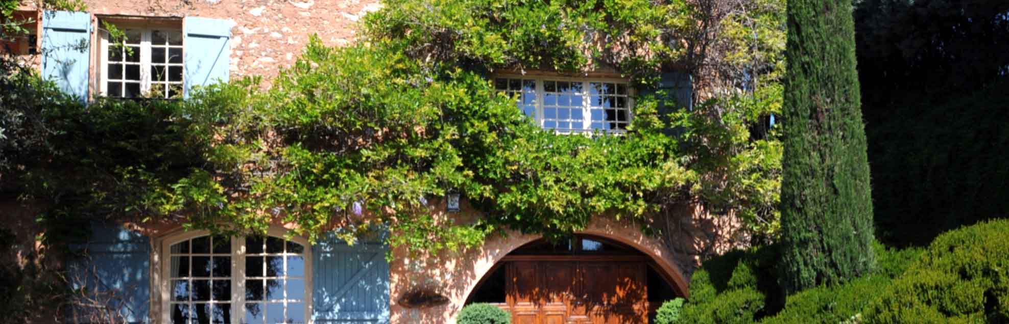 7 drought-resistant climbing plants