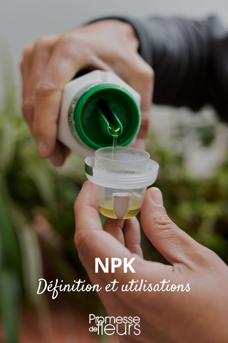 NPK Fertiliser