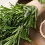 Rosemary: how to preserve and use it?