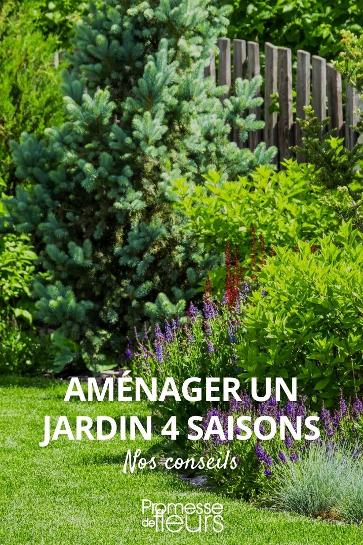 Four Seasons Garden: How to Design It, a Garden with Flowers All Year Round, a Beautiful Garden Throughout the Year