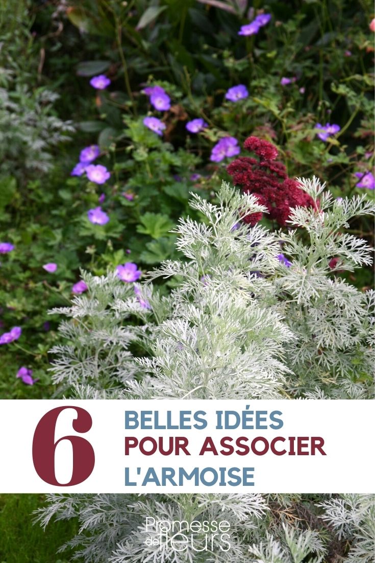 Mugwort: Our Plant Pairing Ideas