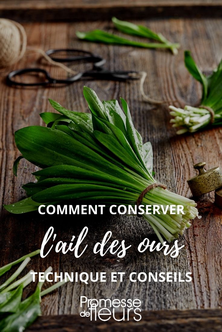 Preserving and Using Wild Garlic
