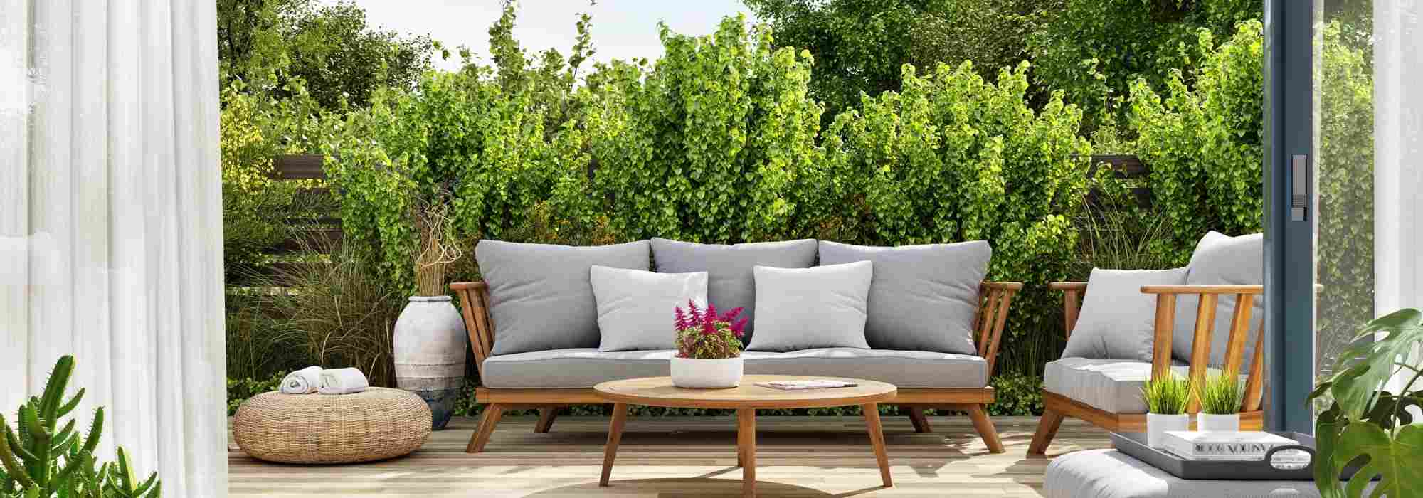 Blocking the wind on a terrace: the plants you need!