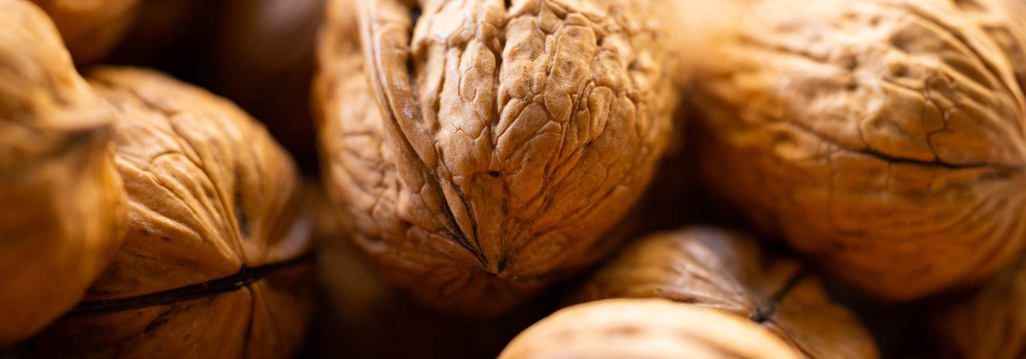 Harvest and store walnuts