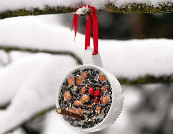 Make a hanging seed feeder for birds in winter