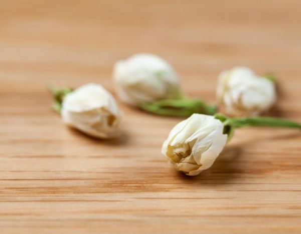 Dry jasmine flowers
