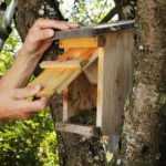 Cleaning a nest box