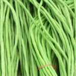 Runner bean: sowing, growing and harvesting