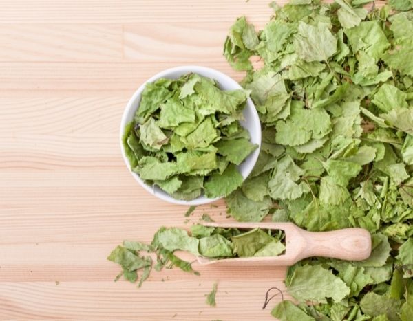 How to dry birch leaves?