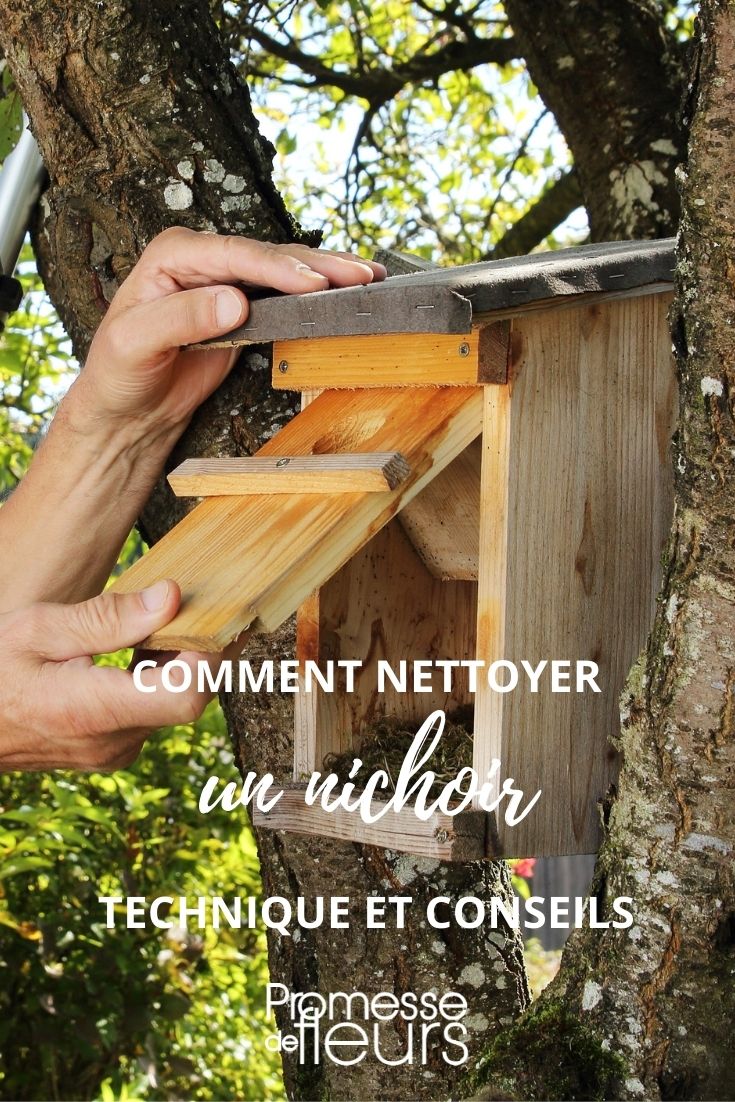 Cleaning a Birdhouse

As spring approaches, it's essential to prepare for the arrival of our feathered friends. Cleaning birdhouses is not only a matter of hygiene but also crucial for the health of future occupants. Here’s a simple guide to ensure your birdhouse is ready for the new nesting season.

### Step-by-Step Guide to Cleaning a Birdhouse

**1. Timing is Key**  
The best time to clean out a birdhouse is in late autumn or early winter, after the breeding season has ended. This prevents disturbance to nesting birds and ensures the house is ready for the next occupants.

**2. Safety First**  
Before you start, ensure your safety by wearing gloves. Birds can leave behind parasites and droppings that might be harmful.

**3. Open the Birdhouse**  
Most birdhouses are designed with a side or bottom panel that opens for easy cleaning. If yours doesn’t open, you might need to gently remove the roof or one of the walls.

**4. Remove Old Nesting Material**  
Carefully remove all the old nesting materials and dispose of them. These materials can harbour parasites and pathogens.

**5. Scrub and Disinfect**  
Using a stiff brush, scrub the inside of the birdhouse with soapy water. Rinse thoroughly. To disinfect, you can use a solution of nine parts water to one part bleach. Rinse the birdhouse thoroughly with clean water after disinfecting.

**6. Dry Completely**  
Allow the birdhouse to dry completely in the sun. This helps to kill any remaining parasites and prevents mould growth.

**7. Check for Damage**  
Inspect the birdhouse for any signs of wear or damage. Repair any holes or cracks to ensure it remains sturdy and safe for birds.

**8. Reassemble and Replace**  
Once the birdhouse is dry and repaired, reassemble any parts you removed and place it back in its original location or choose a new spot if needed.

### Additional Tips

- **Location**: Place the birdhouse away from predators and in a quiet area.
- **Regular Checks**: Throughout the nesting season, keep an eye on the birdhouse to ensure it remains safe and clean.
- **Avoid Chemicals**: Use natural cleaning agents as much as possible to prevent harm to the birds.

By following these steps, you can provide a safe and clean environment for birds to raise their young. Happy bird watching!