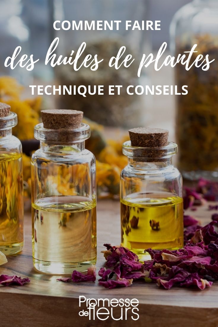 [recipe name="Macérât huileux" ingredients="dried flowers or herbs, vegetable oil" time="4-6 weeks" difficulty="easy"]