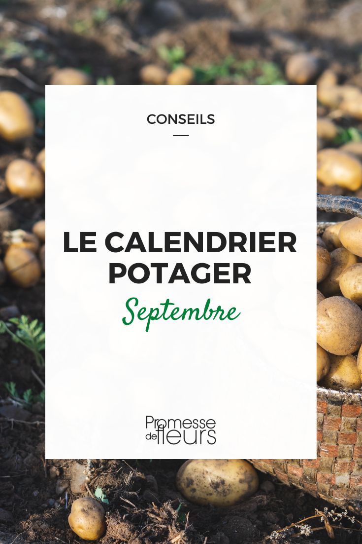 september vegetable gardening tasks