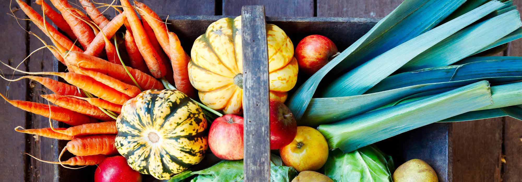 Vegetable garden calendar - October