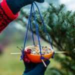 How to make a bird feeder from oranges?