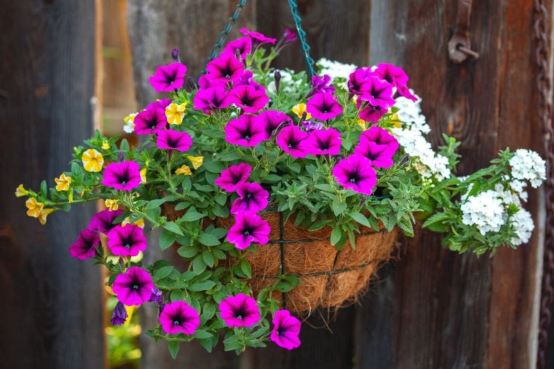 How to make a hanging flower basket?