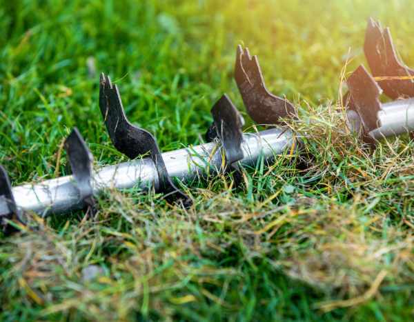 How to scarify a short grass meadow?