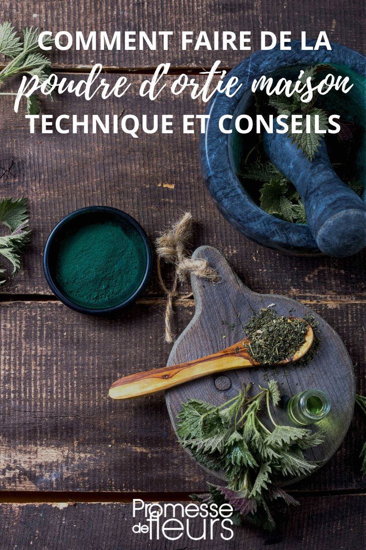 [plant id="129" name="Nettle" type="perennial"] powder recipe