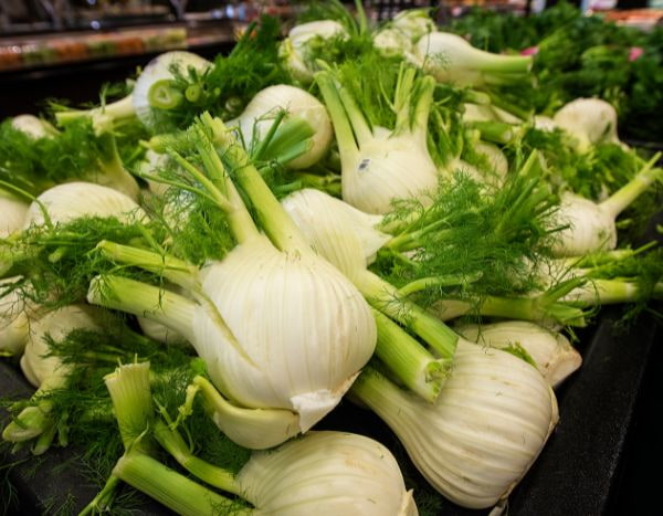 How to sow fennel?