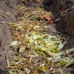 How to make trench composting?